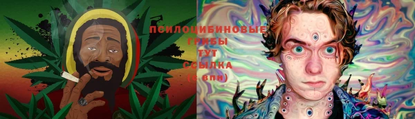 крисы Алзамай