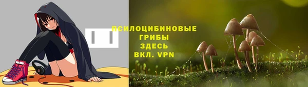 крисы Алзамай