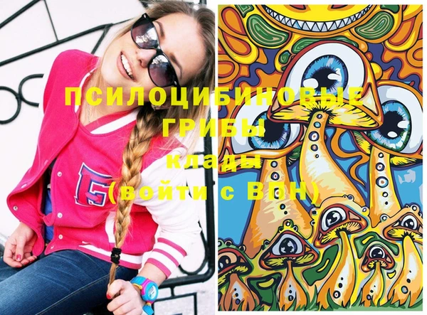 стафф Няндома