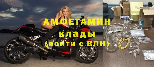 крисы Алзамай