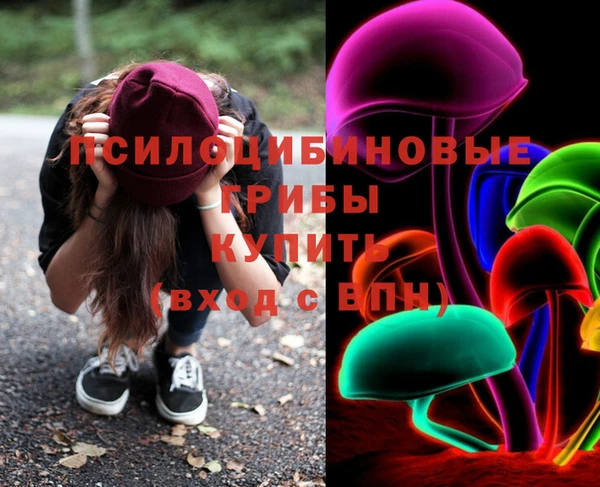 хмурый Алексеевка