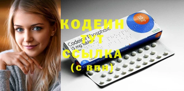 хмурый Алексеевка