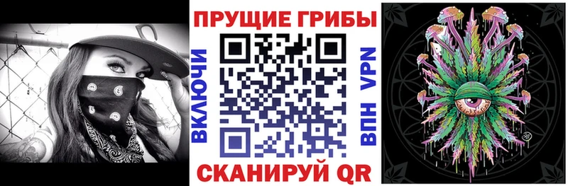 Псилоцибиновые грибы Magic Shrooms  Лабинск 